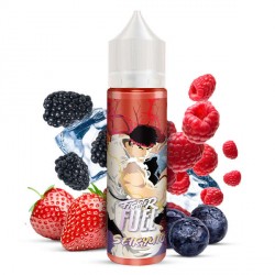 E-liquide Seiryuto 50ml - Fighter Fuel