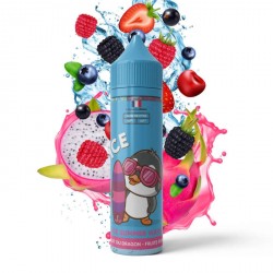 E-liquide Ice Summer Wave 50ml - Bobble Liquide