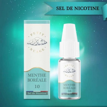 E-liquide Menthe Boréale 10ml Sel de Nicotine - Petit Nuage